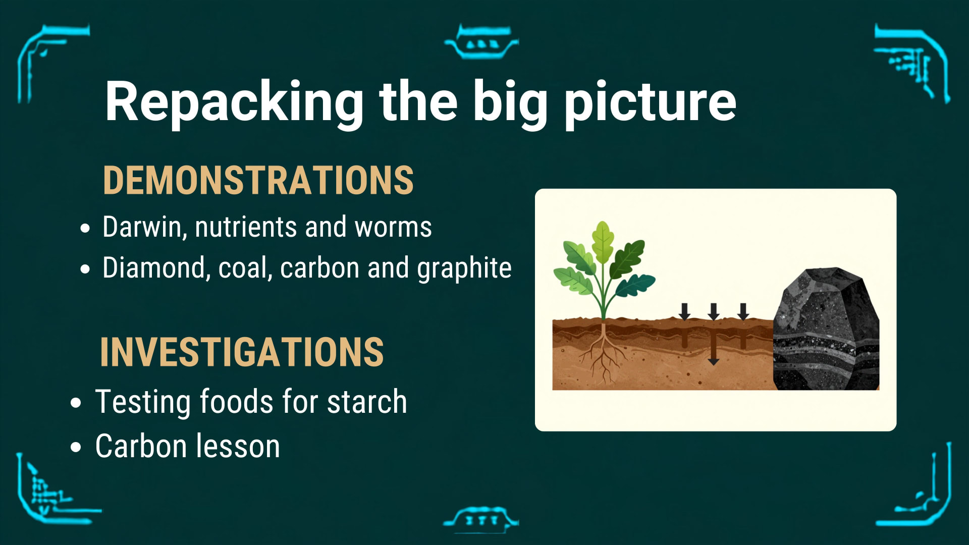 Plants and Photosynthesis lesson 8: Repacking the big picture and carbon