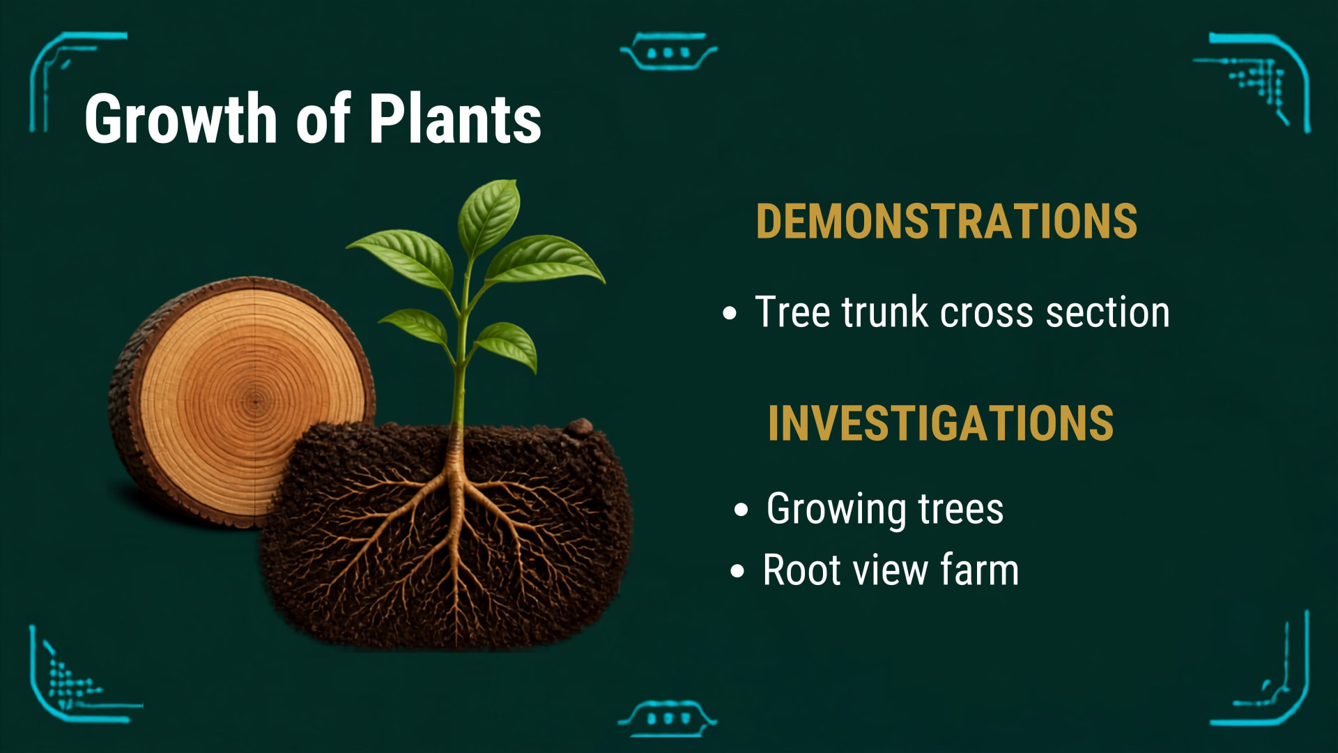 Plants and Photosynthesis lesson 4: Growth of plants