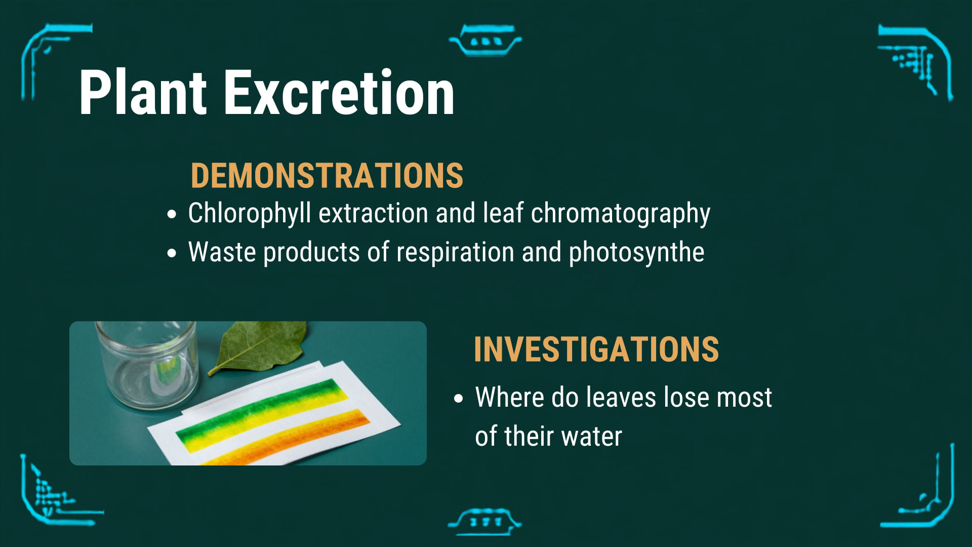 Plants and Photosynthesis lesson 7: Excretion