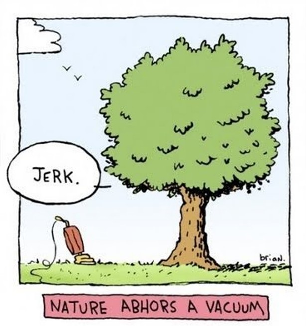Cartoon — nature abhors a vacuum
