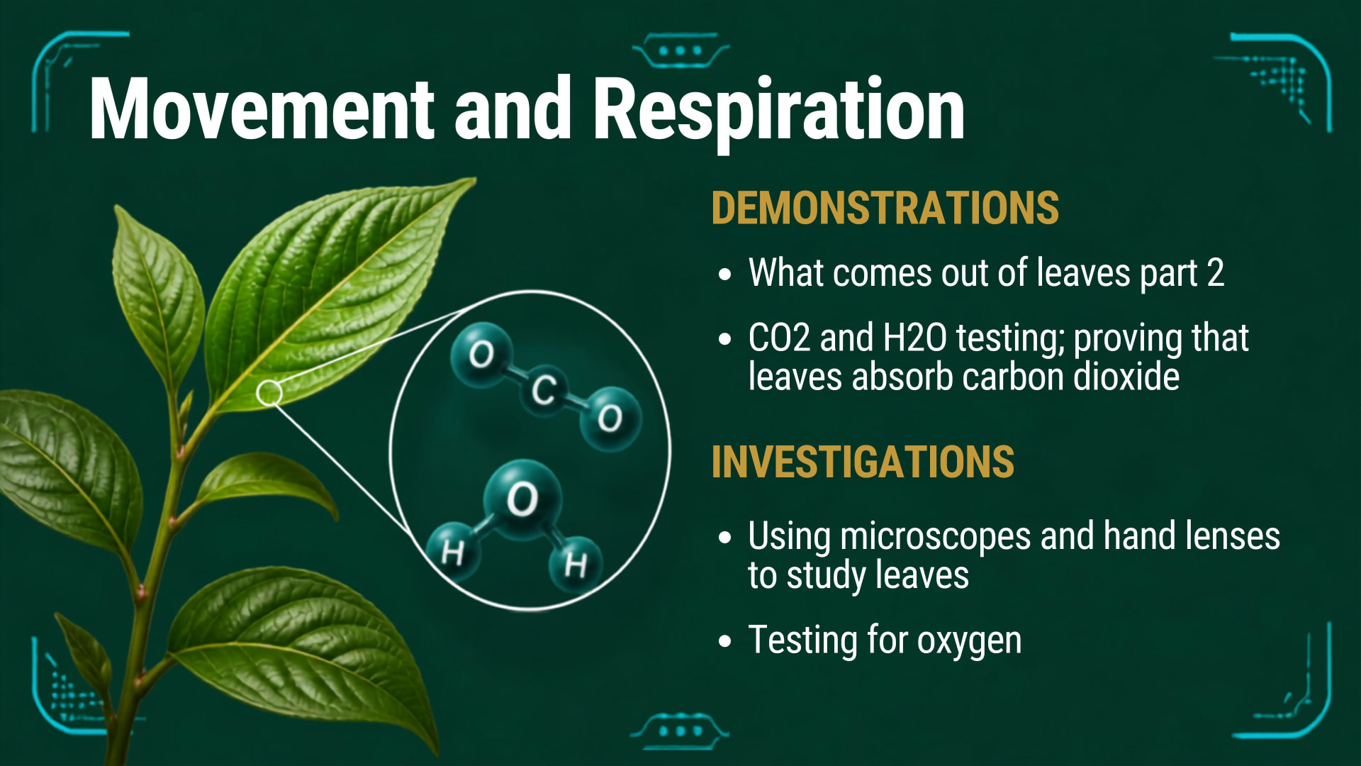 Plants and Photosynthesis lesson 2: Movement and respiration