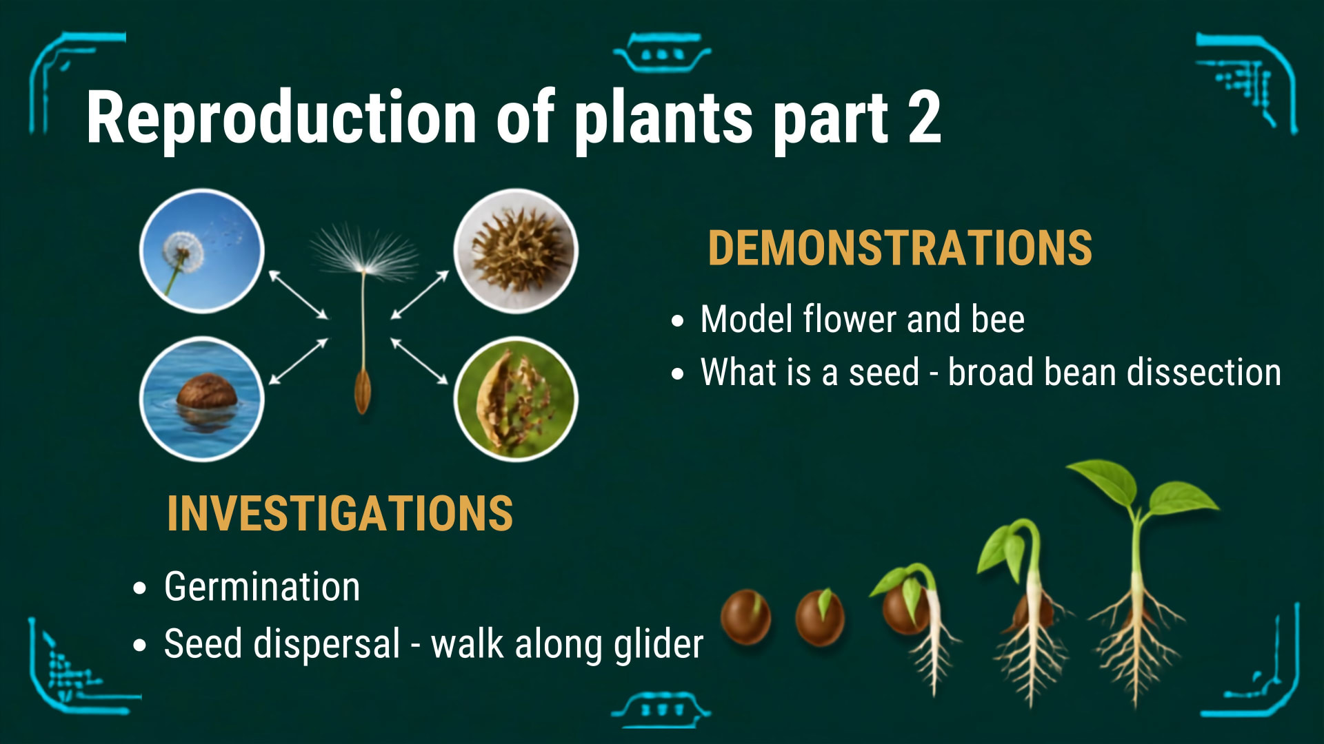 Plants and Photosynthesis lesson 6: Reproduction in plants part 2
