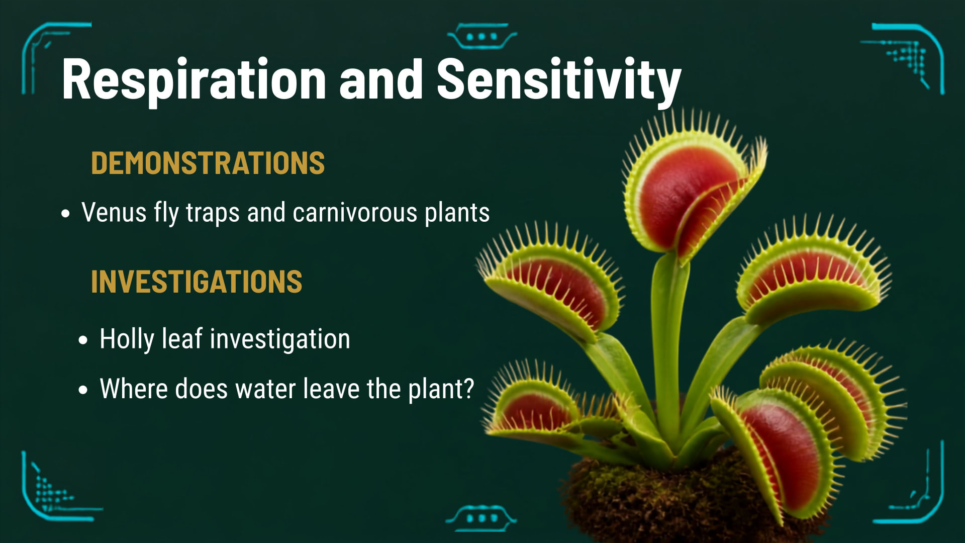 Plants and Photosynthesis lesson 3: Respiration and sensitivity