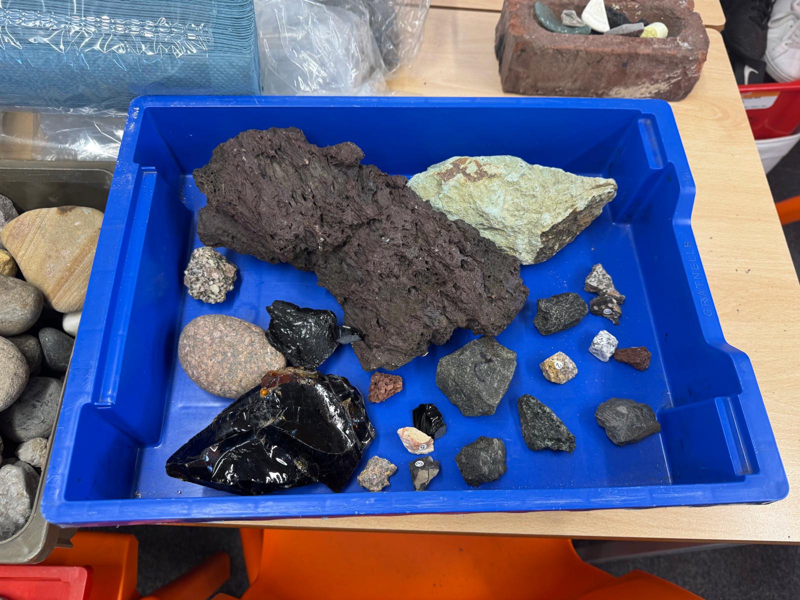 A blue tray containing a varied collection of rocks and mineral specimens