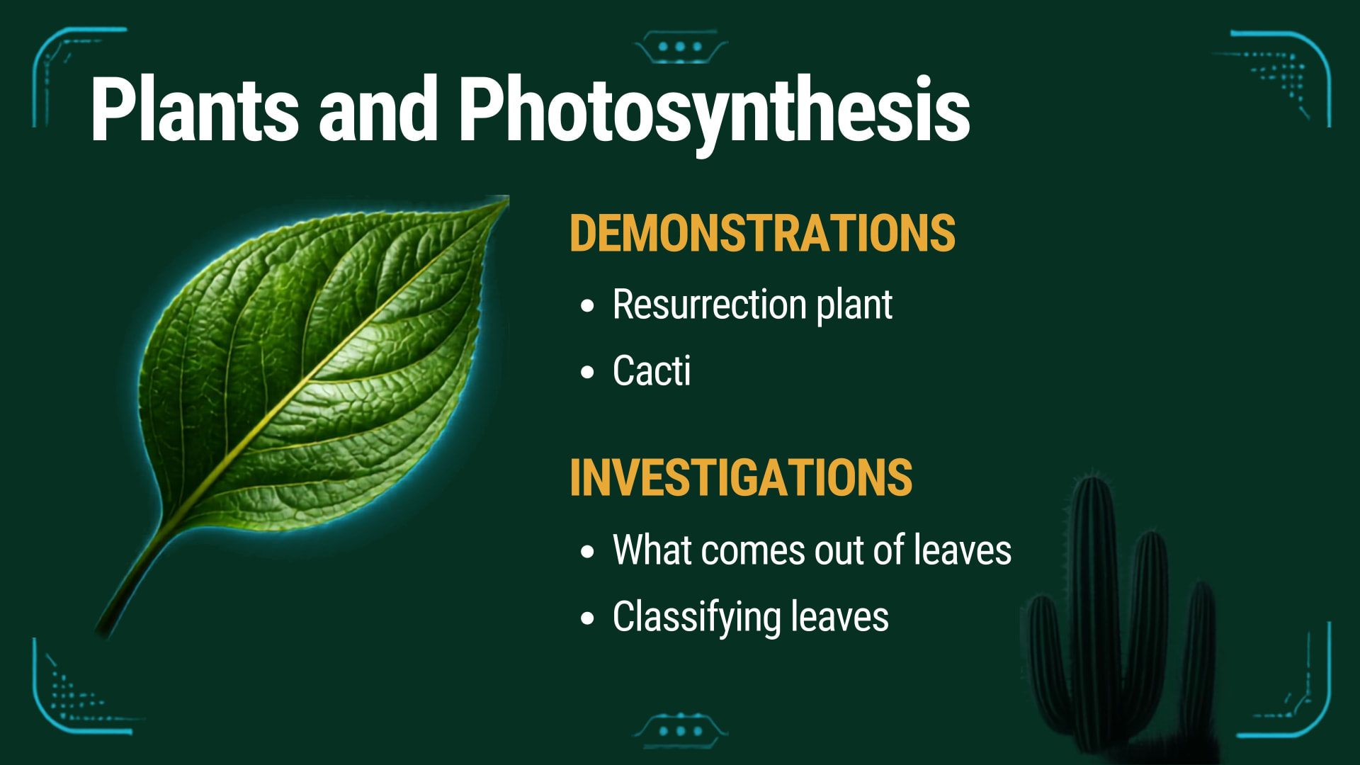 Plants and Photosynthesis lesson slide featuring a leaf and cacti